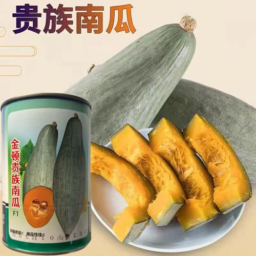 金顿贵族南瓜种子口感好
