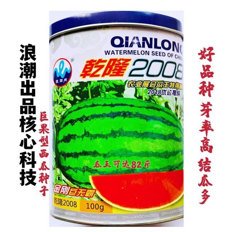 乾隆2008西瓜种子特大巨型西瓜种籽春秋季大田播甜瓜籽水果蔬菜种