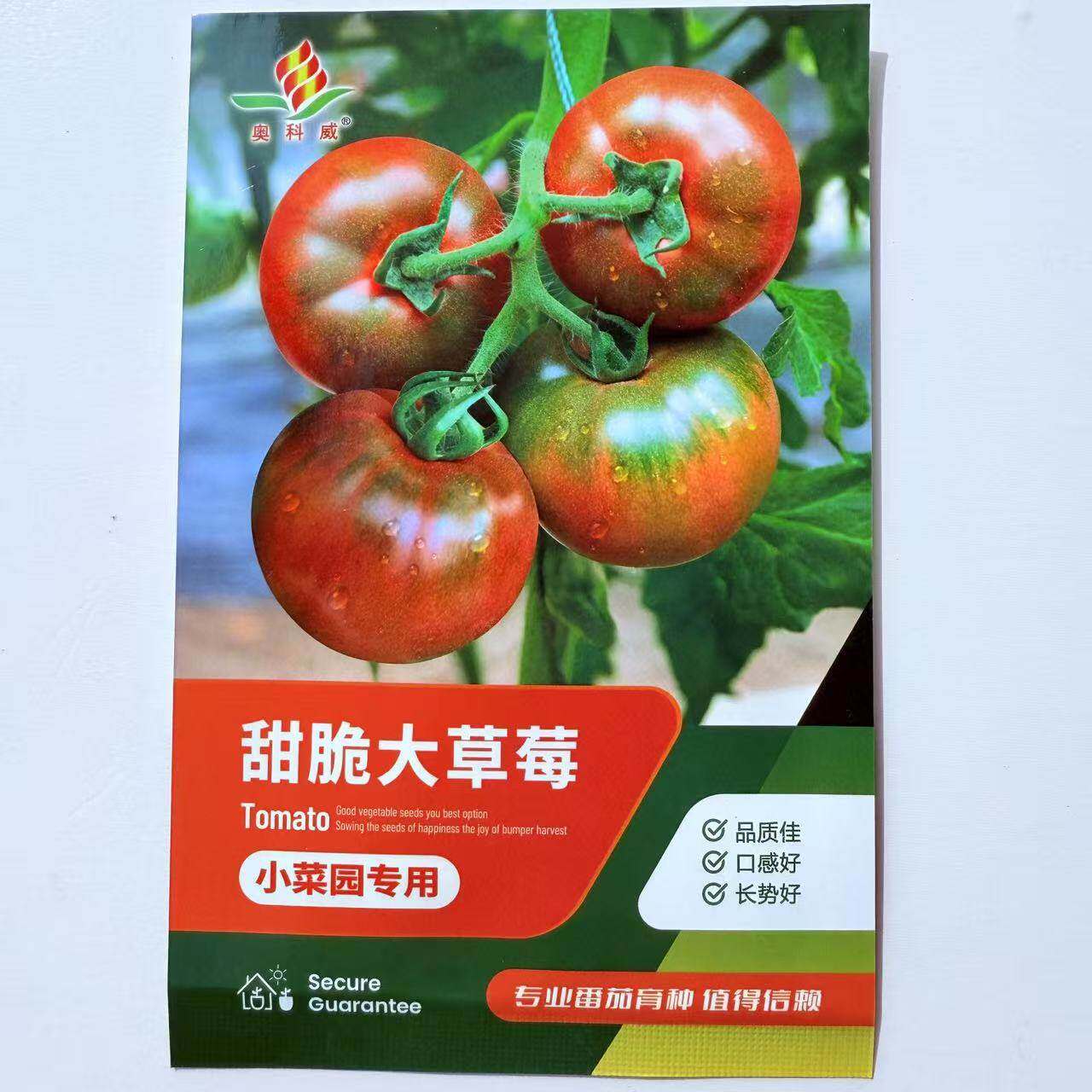 甜脆大草莓番茄种子高产