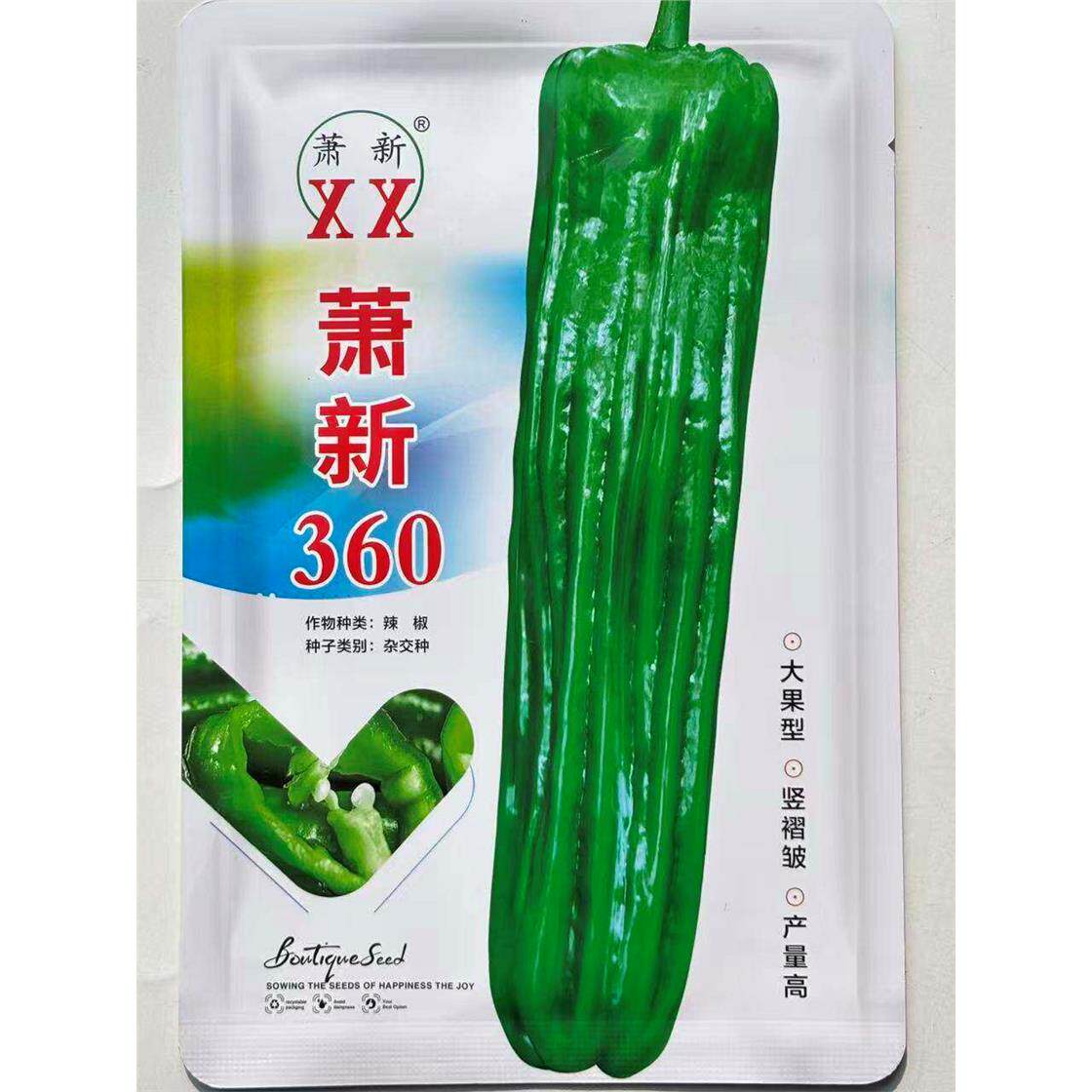 萧新360辣椒种子薄皮褶皱