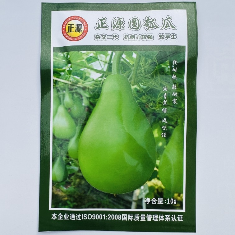 正源圆瓠瓜种子春夏秋四季播高产早生食用甜瓠瓜圆蒲瓜蔬菜种籽