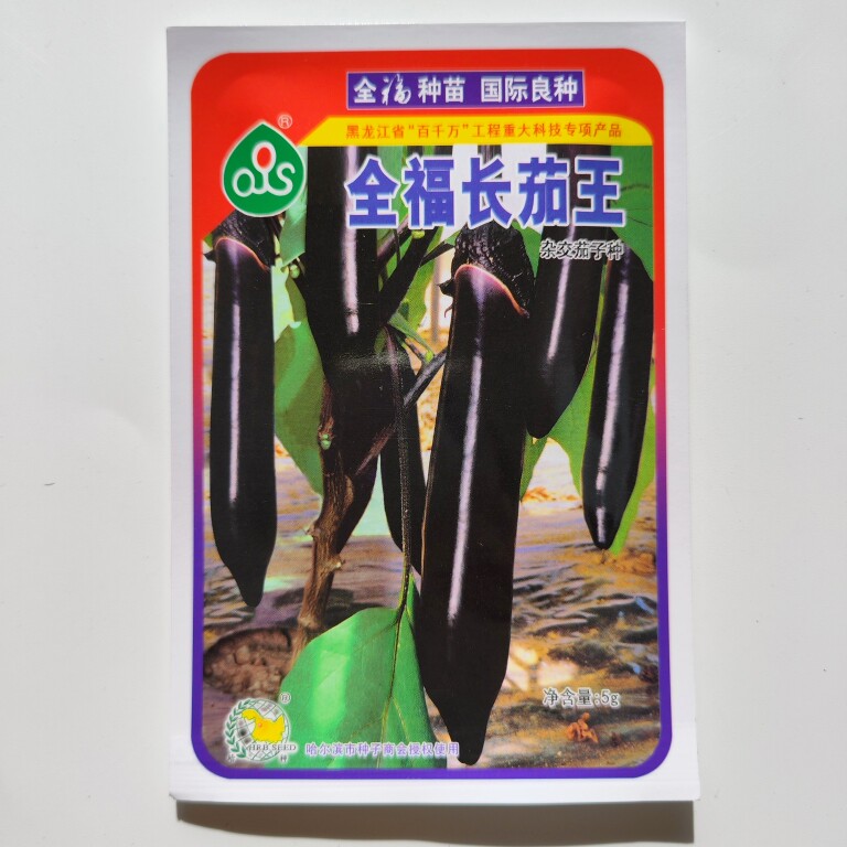 全福长茄王一代杂交种子中熟紫黑油亮条形顺直耐热性强种子
