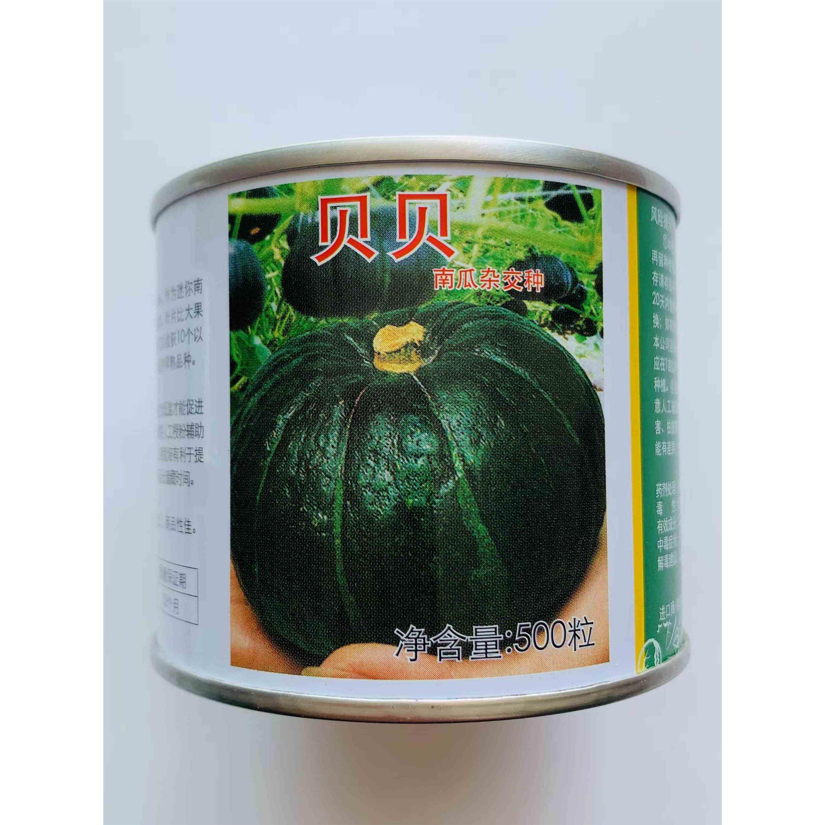 上海惠和进口贝贝南瓜种