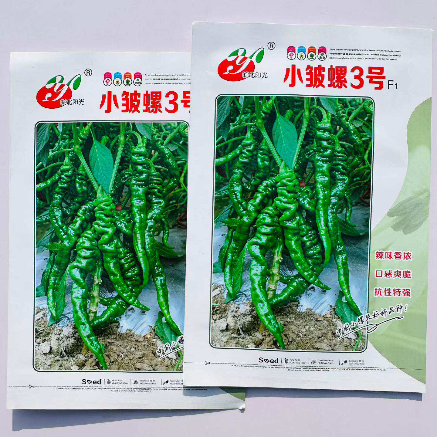 小皱螺丝椒种子薄皮椒高