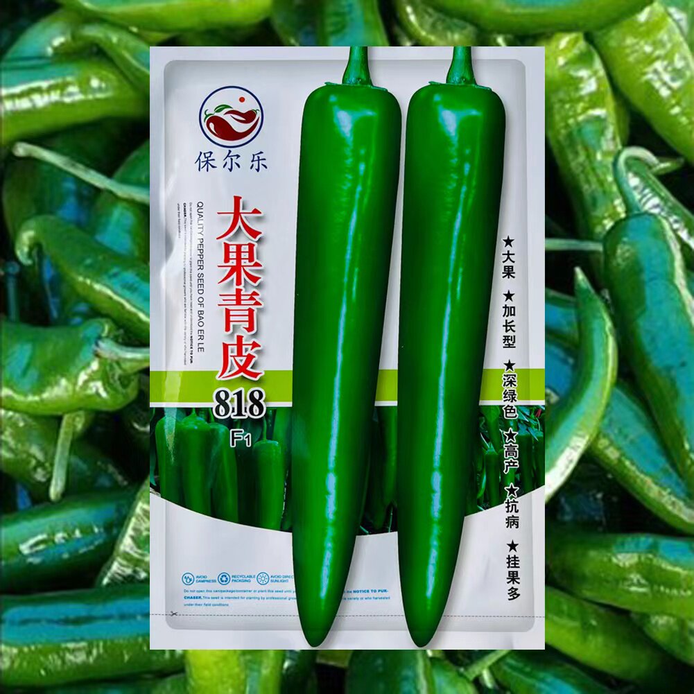 大果青皮818羊角椒种子牛角青椒尖椒辣椒种籽中辣春季四季蔬菜孑