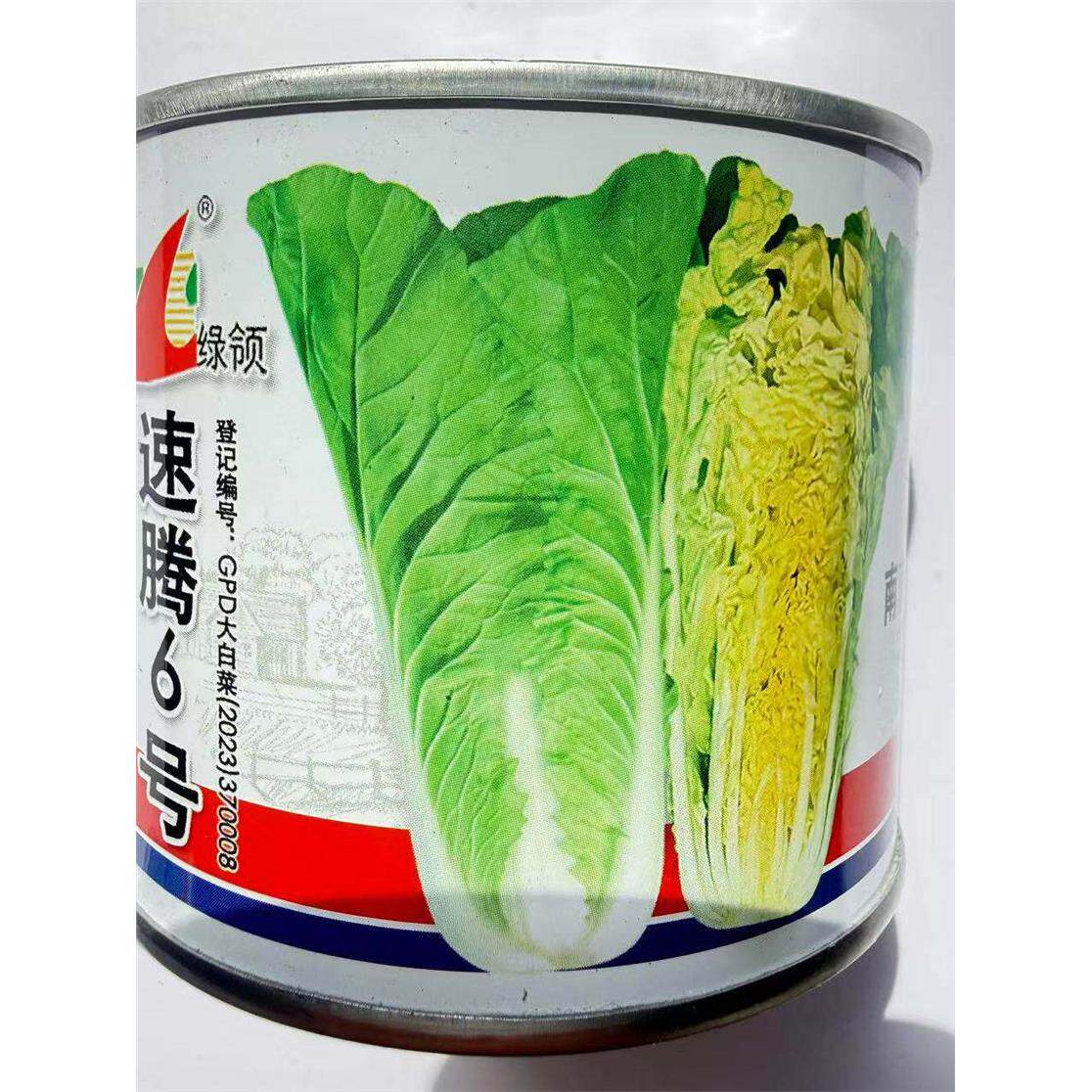 速腾6号快菜种子无毛白抗