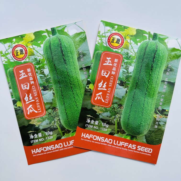 和利农正源玉田肉丝瓜种子杂交短棒大丝瓜种籽农家高产蔬菜孑菜籽