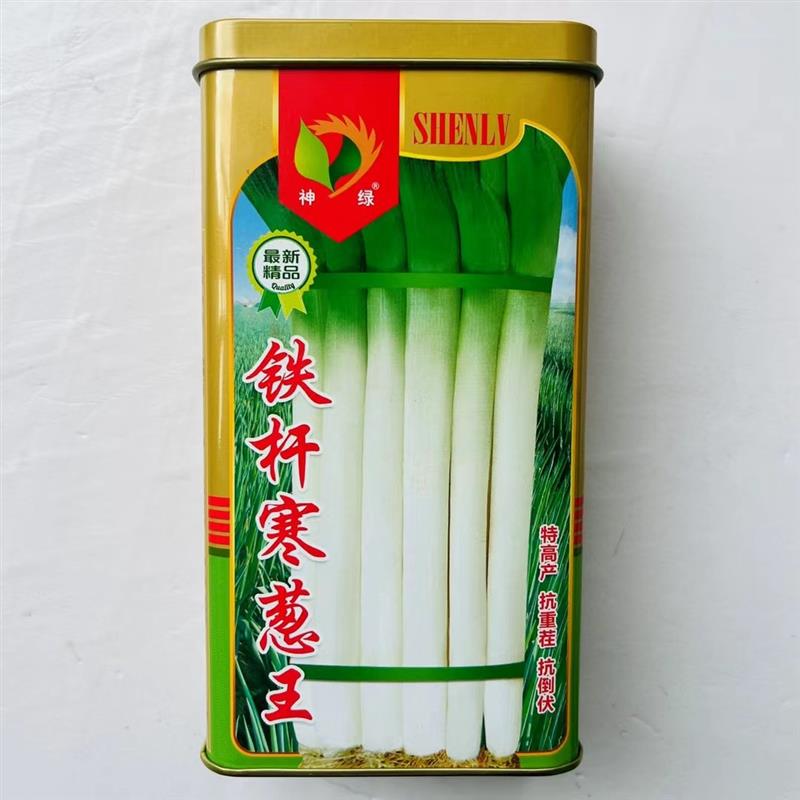 山东大葱种子铁杆寒葱王高产抗重茬抗到伏甜辣适中春秋季大葱种籽