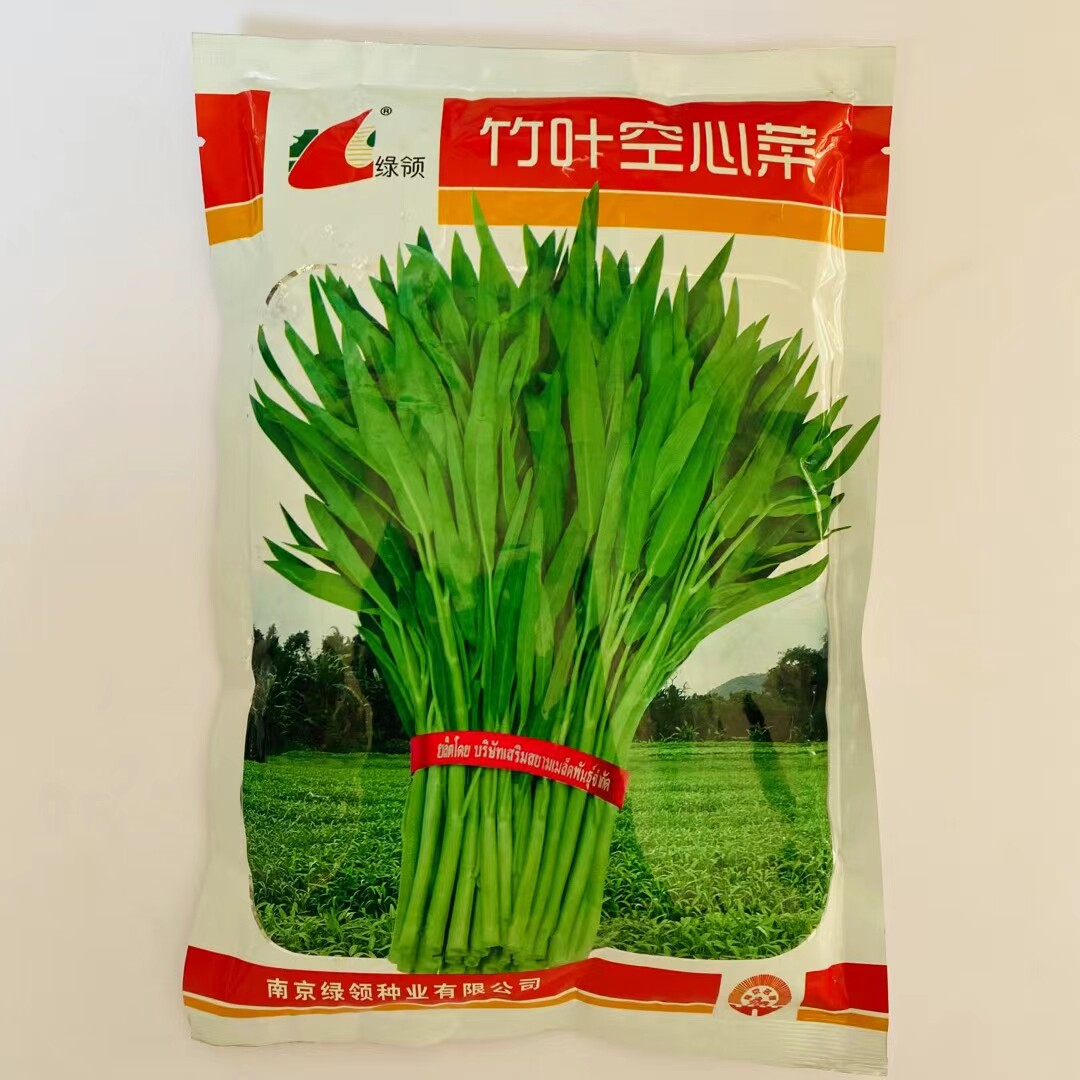 绿领竹叶空心菜种子速生柳叶空心菜旱地水地皆宜种植蔬菜种籽高产