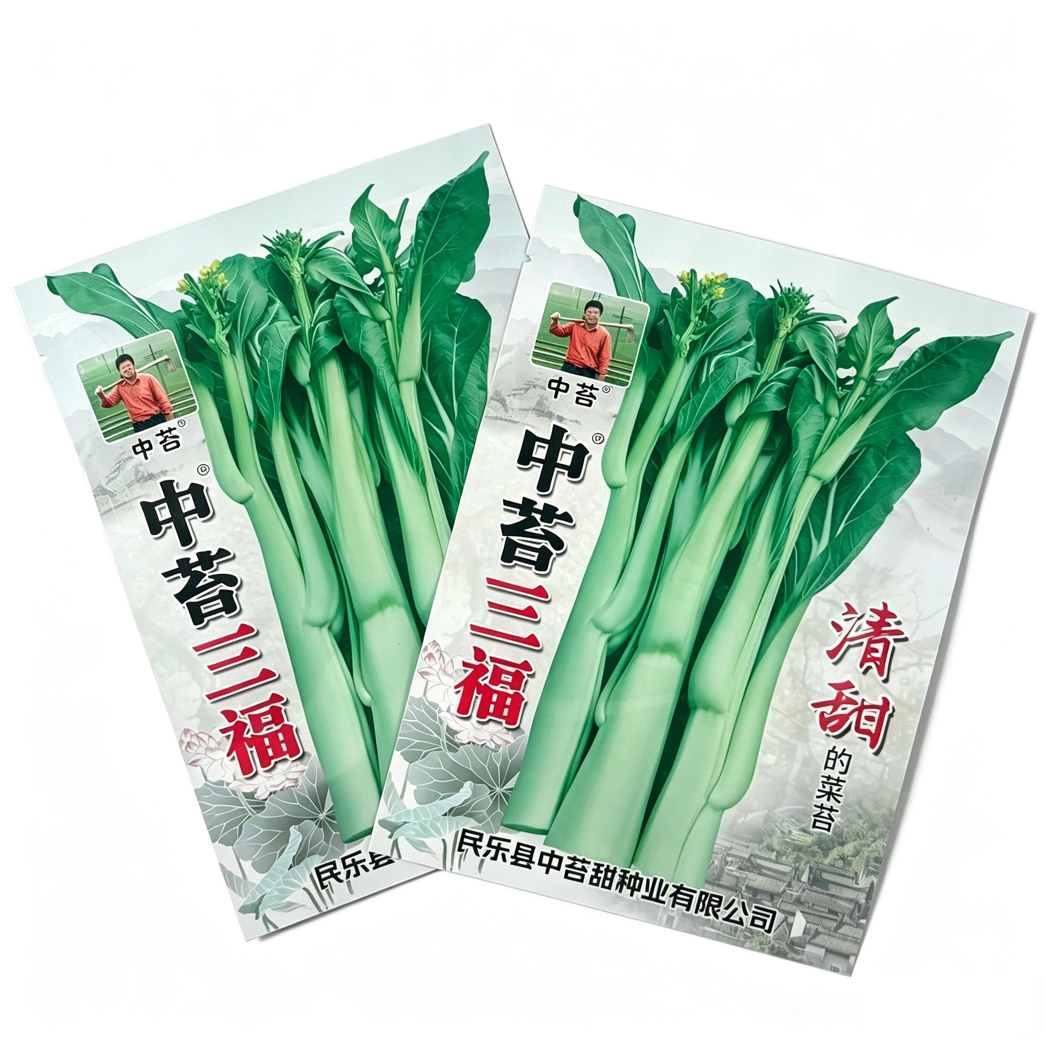 中苔三福菜苔种子清甜脆