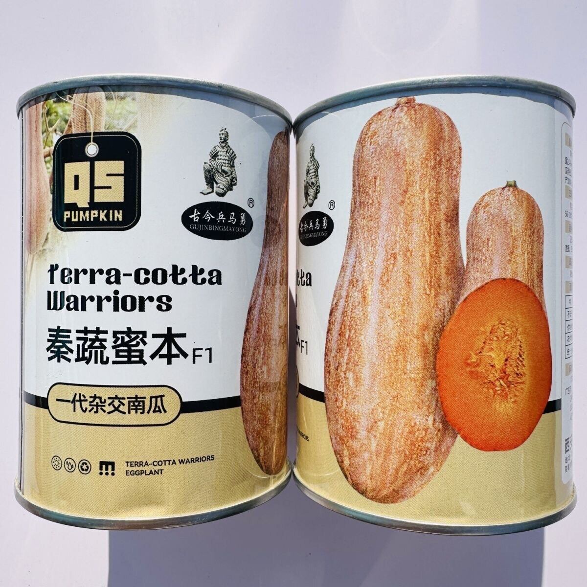 秦蔬蜜本南瓜种子糯甜一