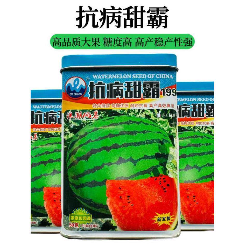 抗病甜霸西瓜新种子特大
