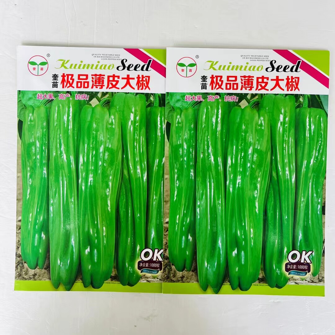 早熟辣椒种子种薄皮大果泡椒种籽青椒皱皮虎皮椒春季蔬菜种子四季