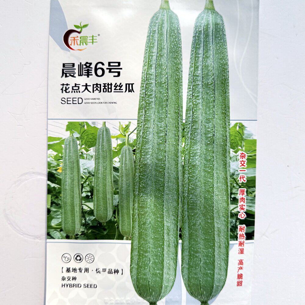 6号丝瓜种子棱形籽杂交早