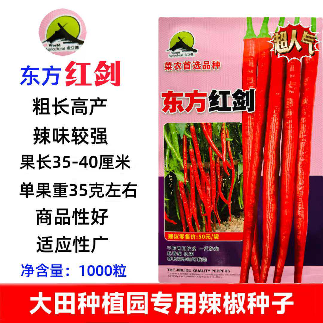 东方红剑辣椒种子早熟高