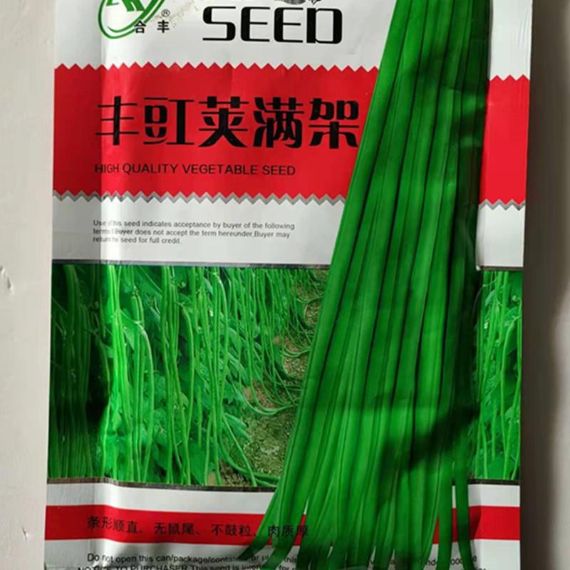 丰豇荚满架豇豆种子摘不败四季蔬菜种子籽