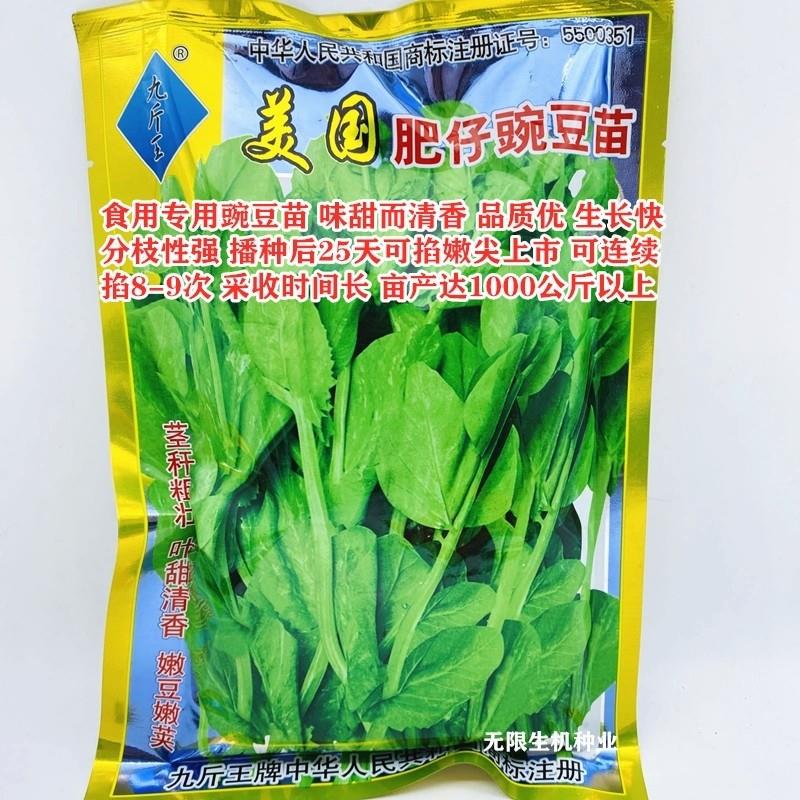 豌豆种(美国肥仔豌豆苗种子)尖龙须菜芽苗四季盆栽蔬菜种孑豆苗