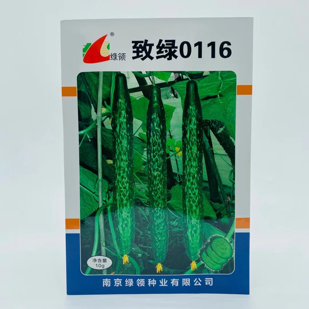 南京绿领种业致绿0116黄瓜种子节节有瓜青皮青肉黄瓜种子高产抗病