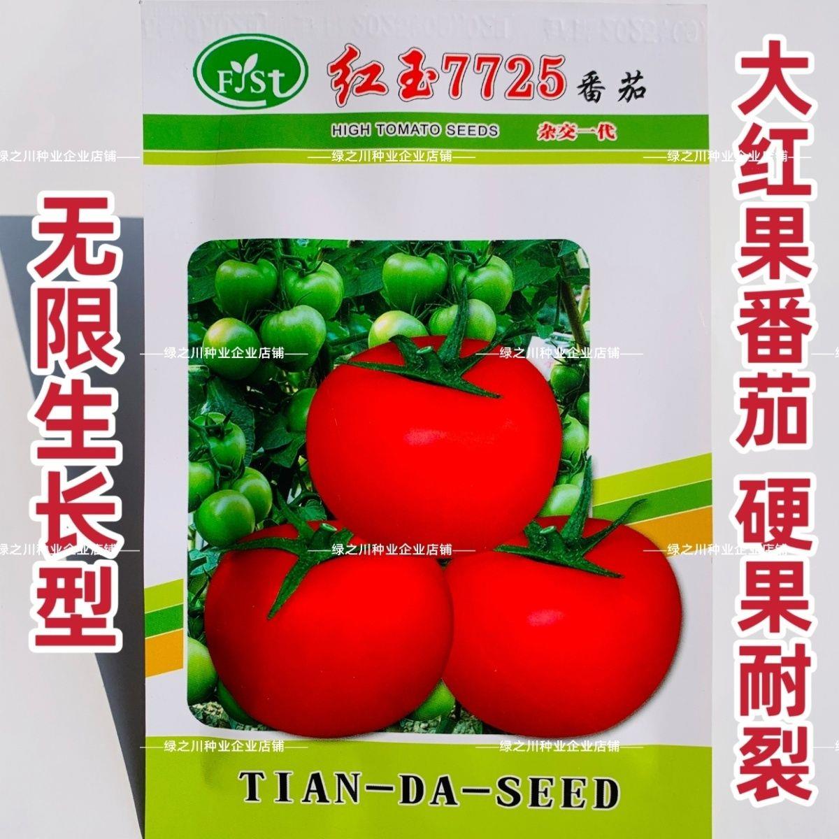 福斯特种苗番茄种子红玉7725大红果西红柿种籽苹果形硬果番茄种籽