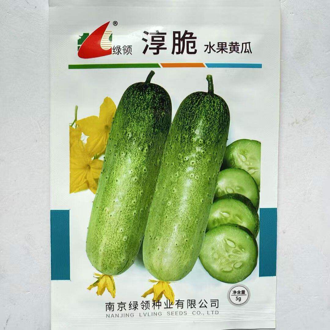 黄瓜种子绿领淳脆早熟水