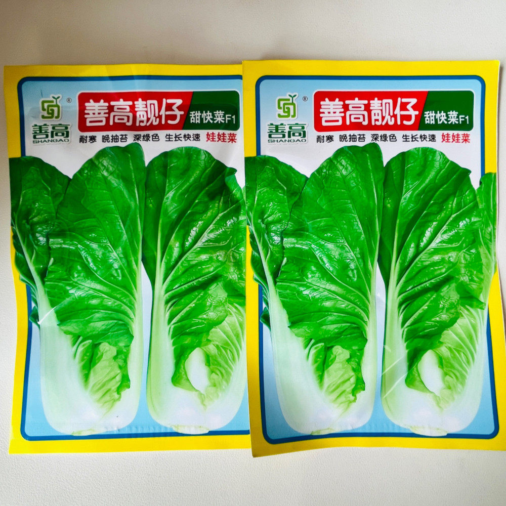善高靓仔甜快菜种子高产