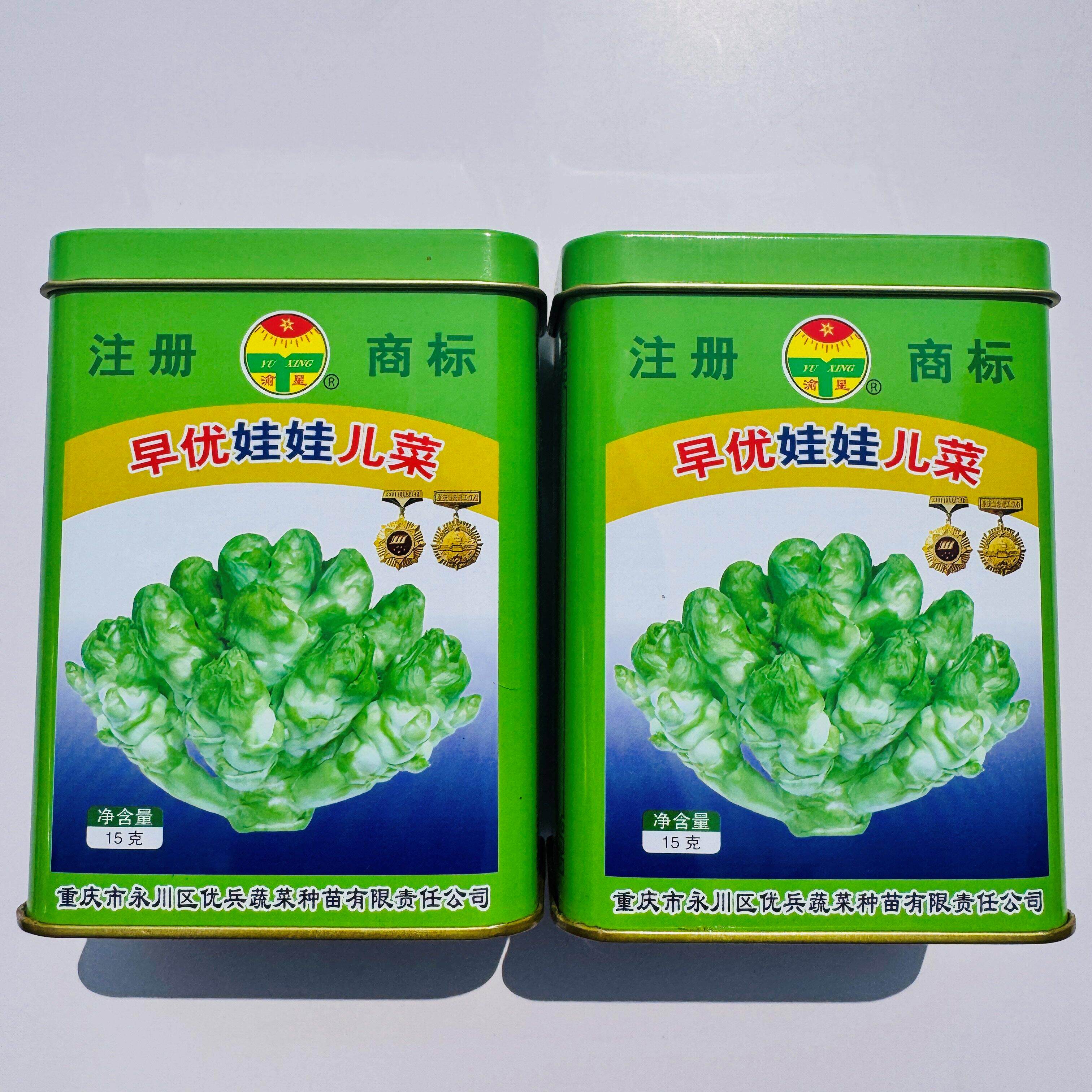 早优娃娃儿菜种子早熟耐