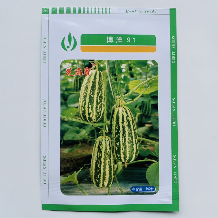 博洋91薄皮甜瓜种子黄绿花皮香甜瓜杂交一代新品农家大棚田园播种