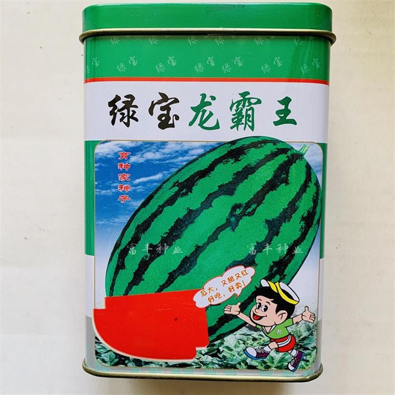 绿宝赢天下 龙霸王西瓜种籽花皮大果红瓤皮薄大西瓜种子农家大田