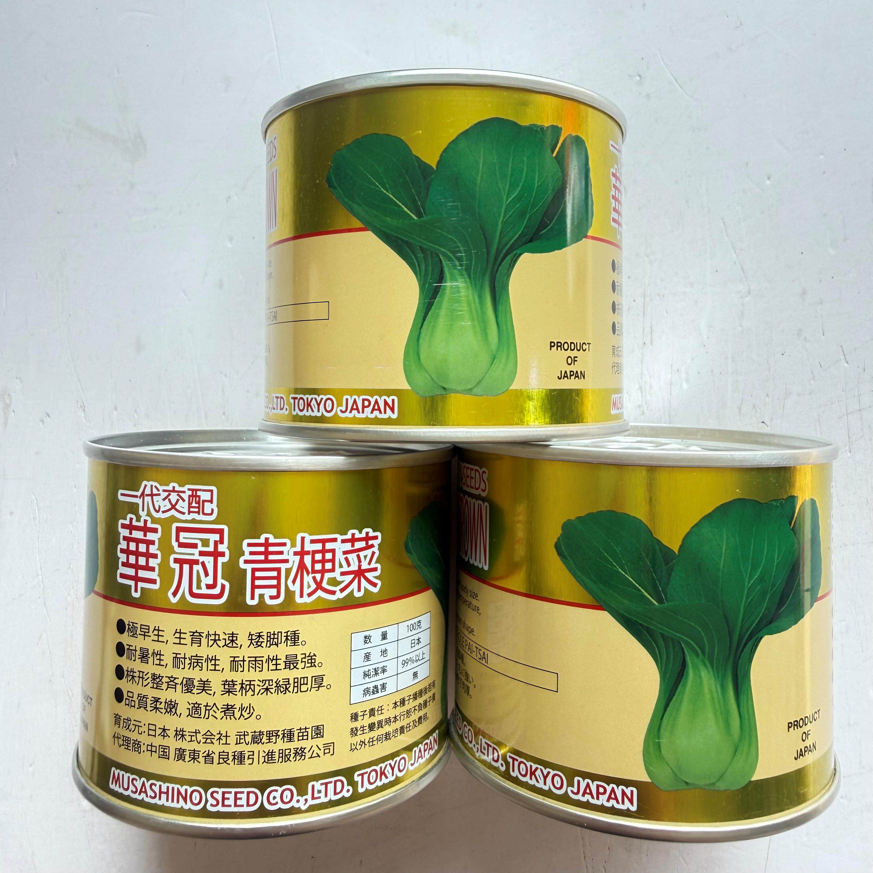 华冠青梗菜种子耐热耐寒