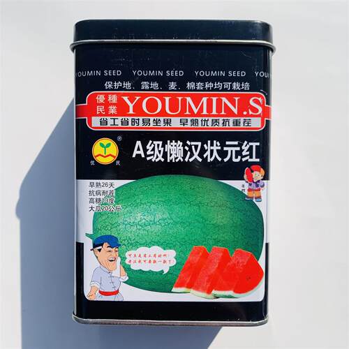 A级懒汉状元红西瓜种子早