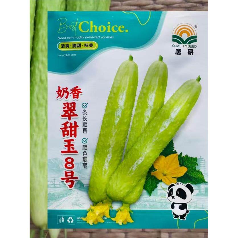 奶香翠甜玉8号白皮黄瓜种