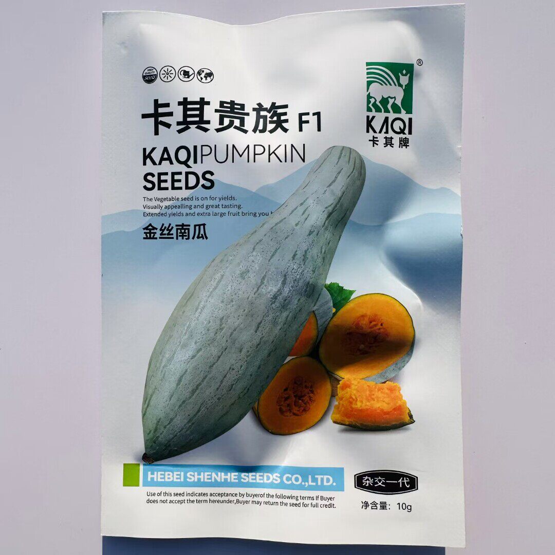卡其贵族南瓜种子金丝籽