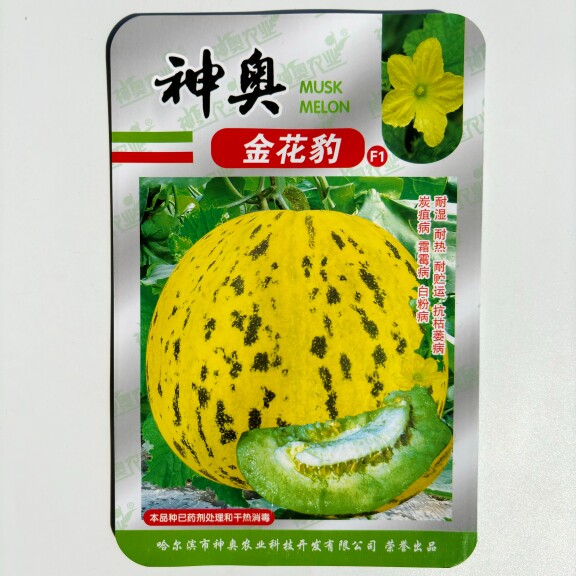 神奥金花豹甜瓜种子超甜薄皮酥香脆爽多汁甜掉牙四季盆栽水果种籽