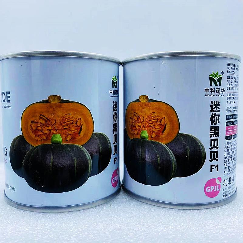 迷你黑贝贝小南瓜种子绿贝贝小南瓜种子日本进口板栗味四季蔬菜种