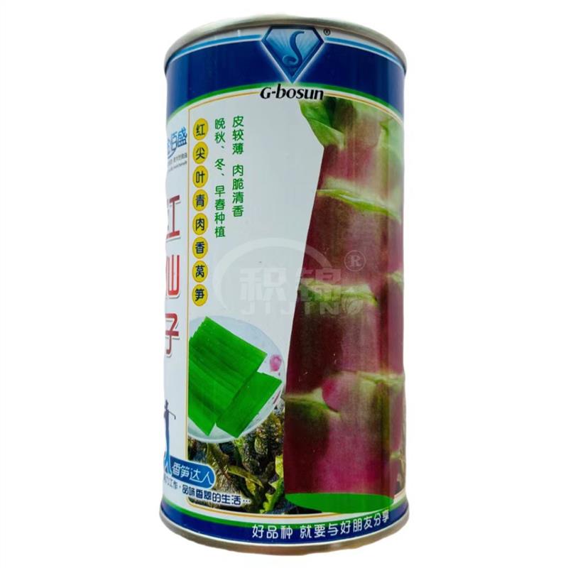 红仙子莴笋种子红尖叶青肉香莴笋种籽皮薄肉脆耐寒抗病高产