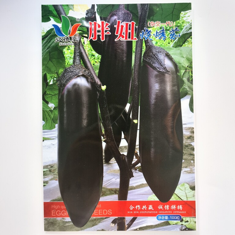 胖妞粗胖长茄 烧烤茄 蔬菜基地高产用 黑茄子种子 中早熟杂交种
