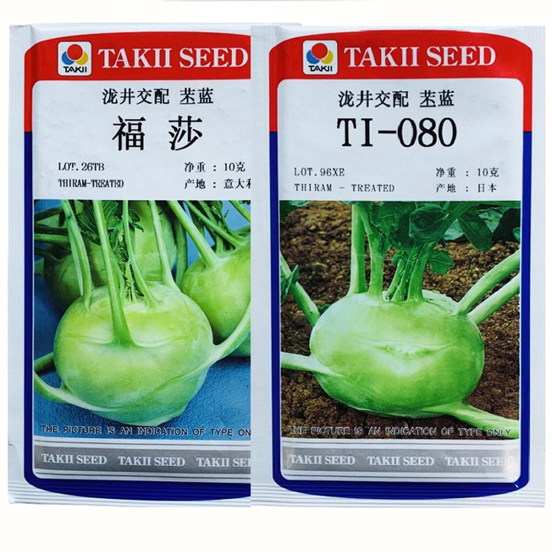 进口苤蓝种子泷井交配苤蓝 脆甜早熟耐抽苔扁圆苤兰种子糠心晚