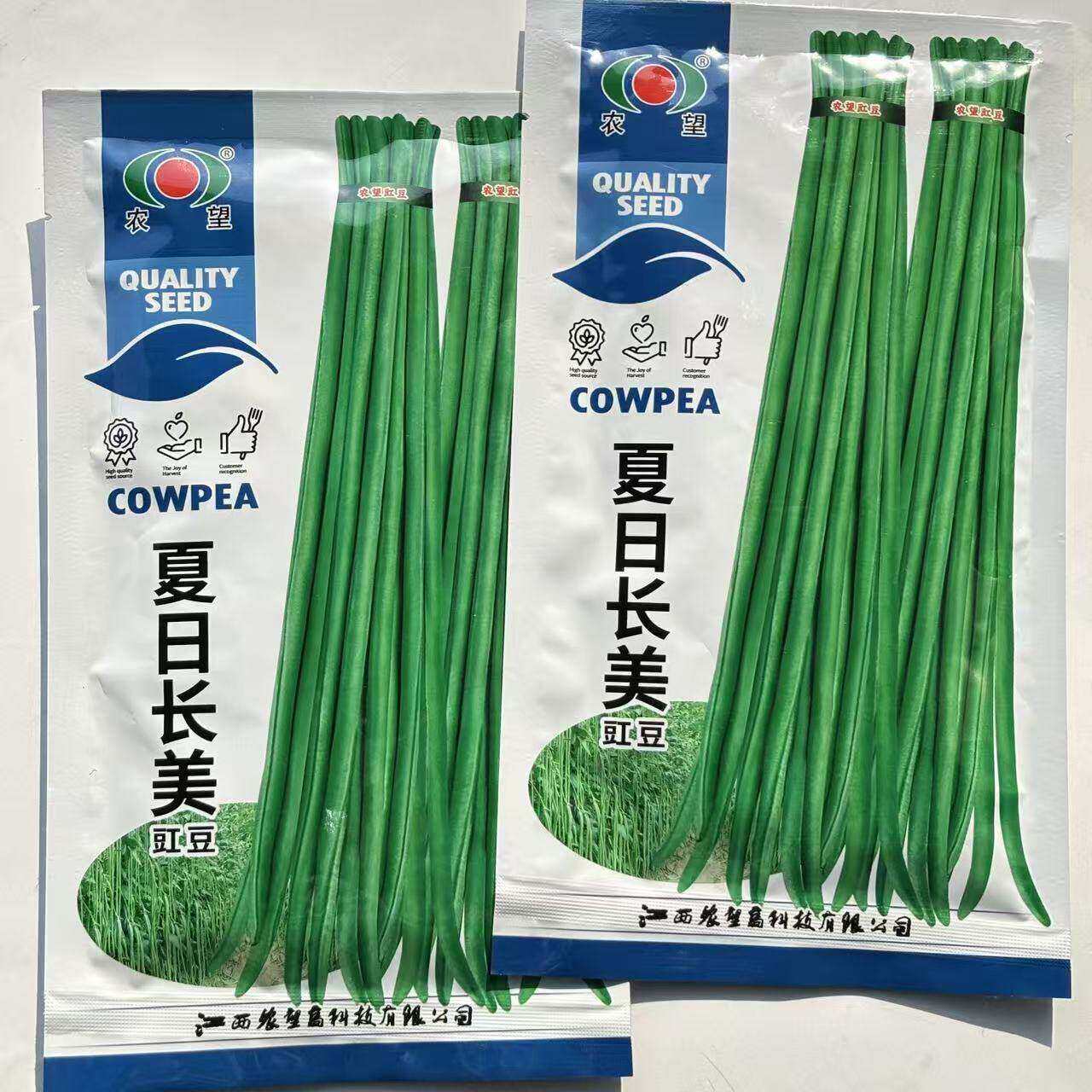 农望夏日长美豆角种子绿