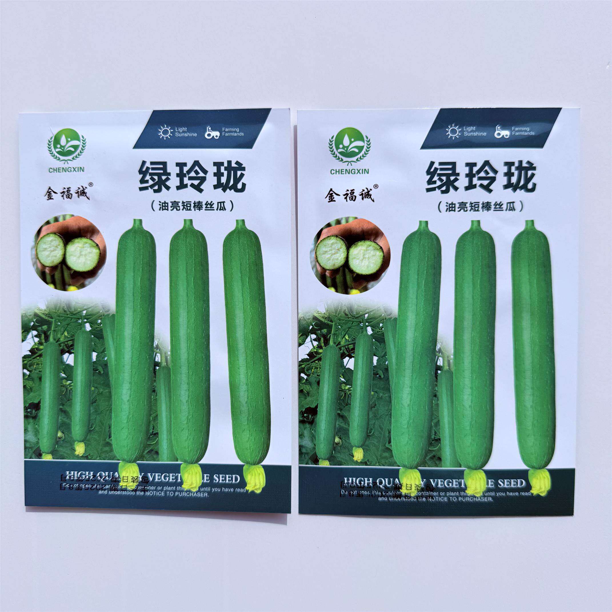 绿玲珑油亮短棒丝瓜种子