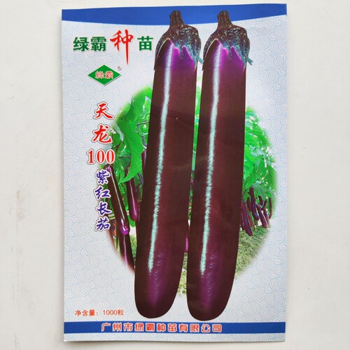 天龙100紫红长茄子种子大茄 烧烤茄 粗茄种籽春夏秋季蔬菜种孑