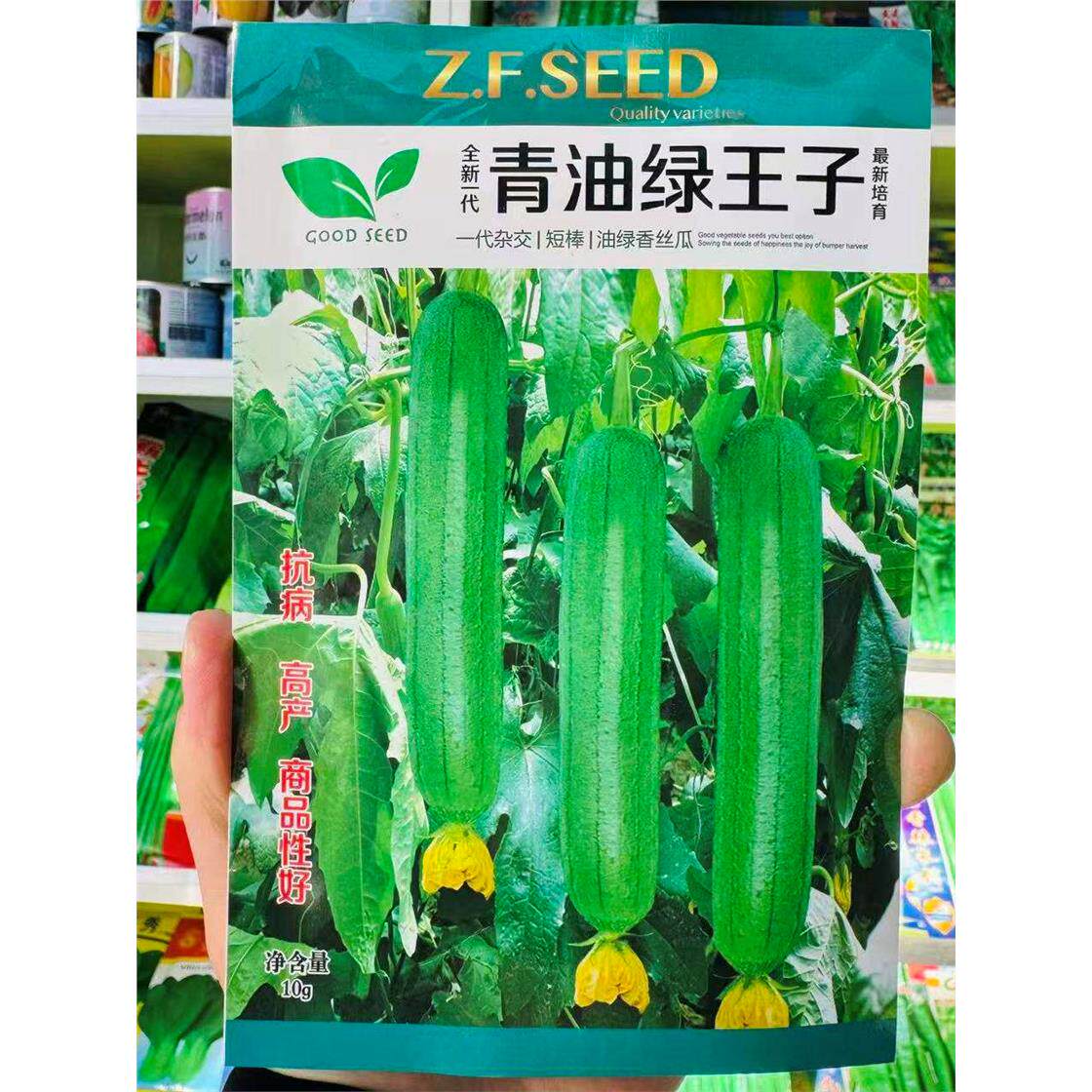 青油绿王子丝瓜种亮短棒