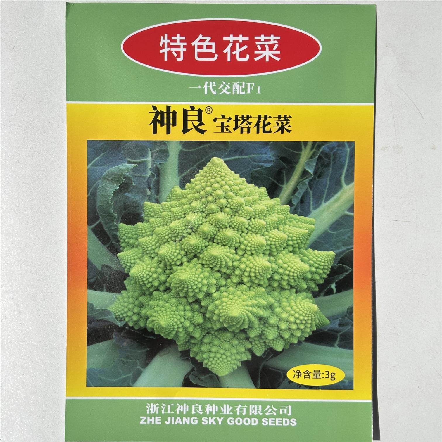 宝塔花菜种子富贵菜特色