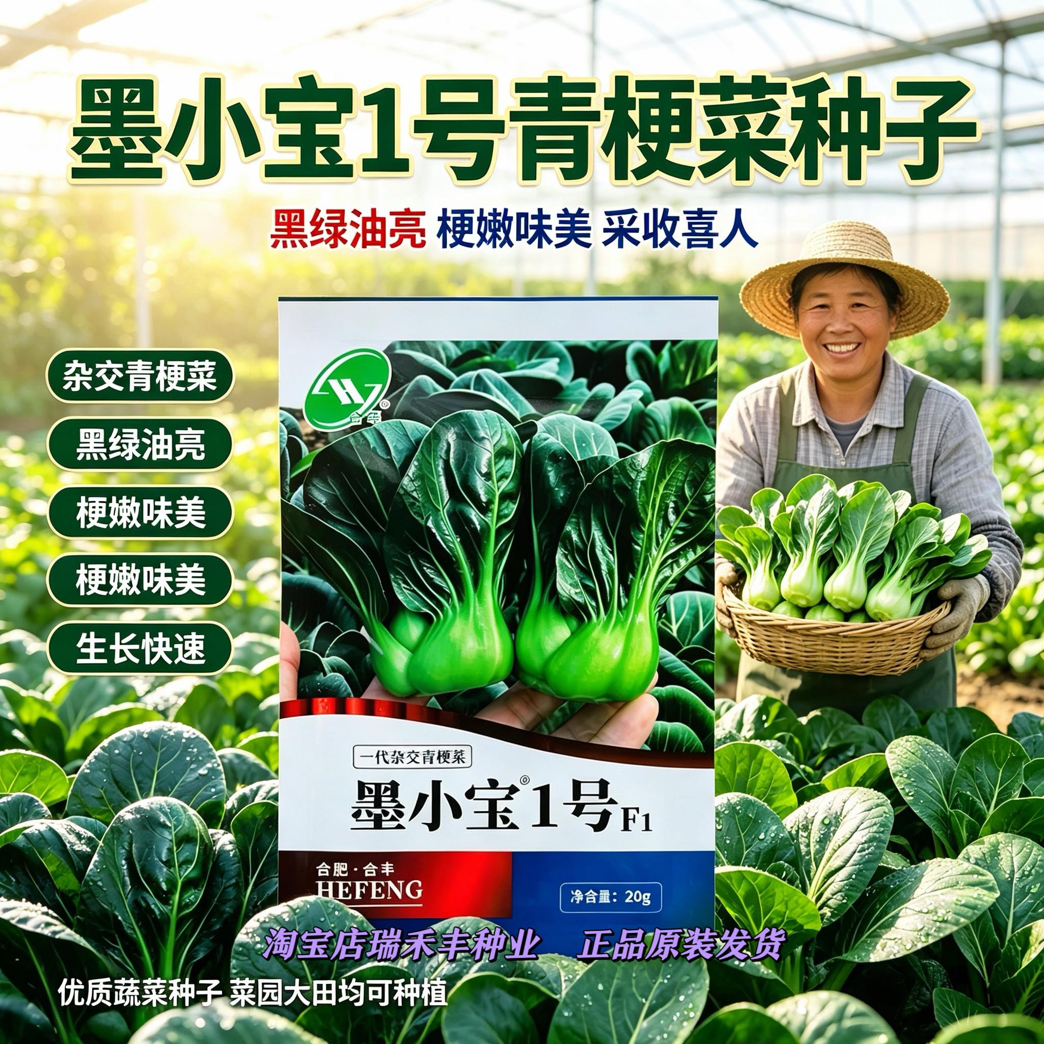 矮颗青梗菜种子墨小宝1号
