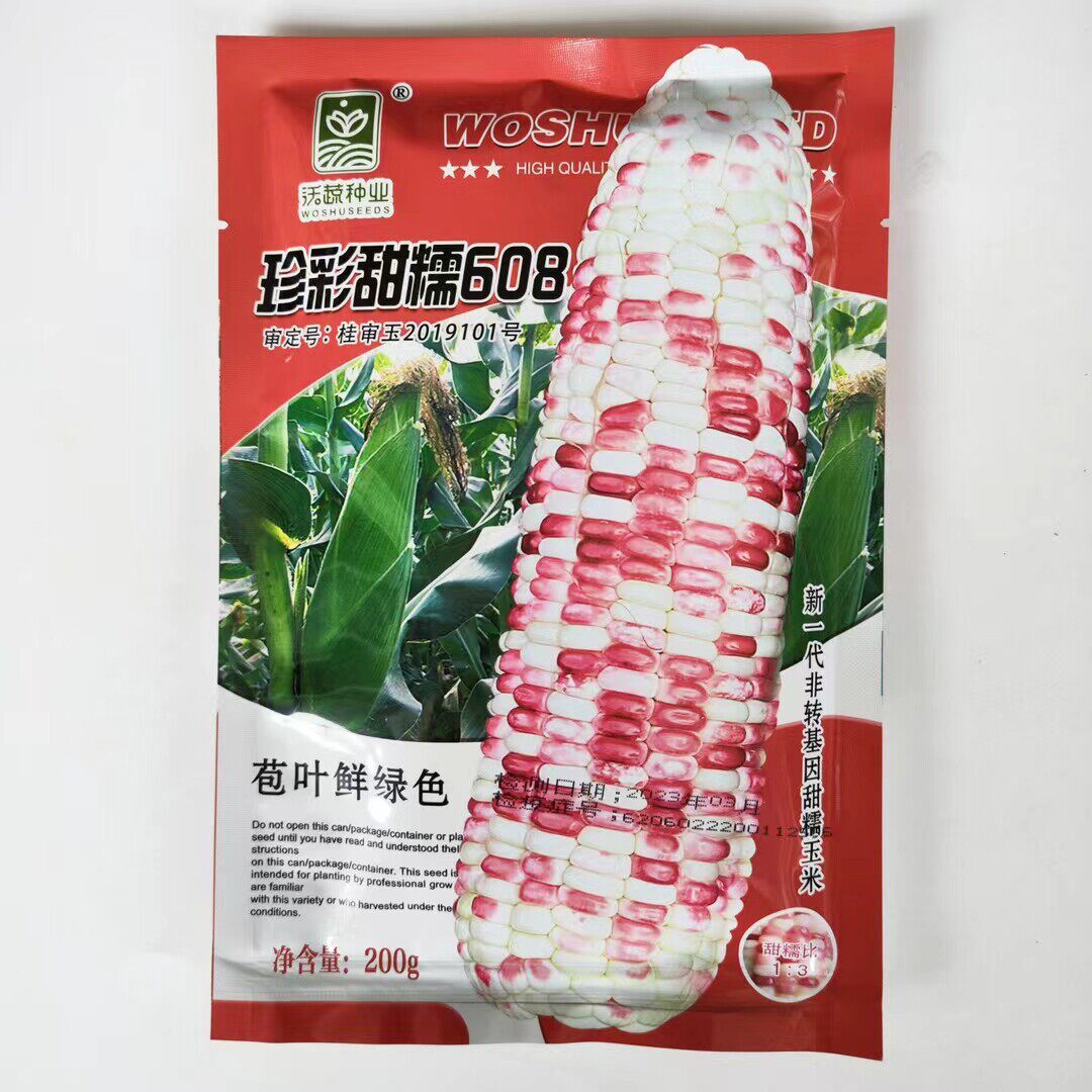 珍彩甜糯608玉米种子大棒