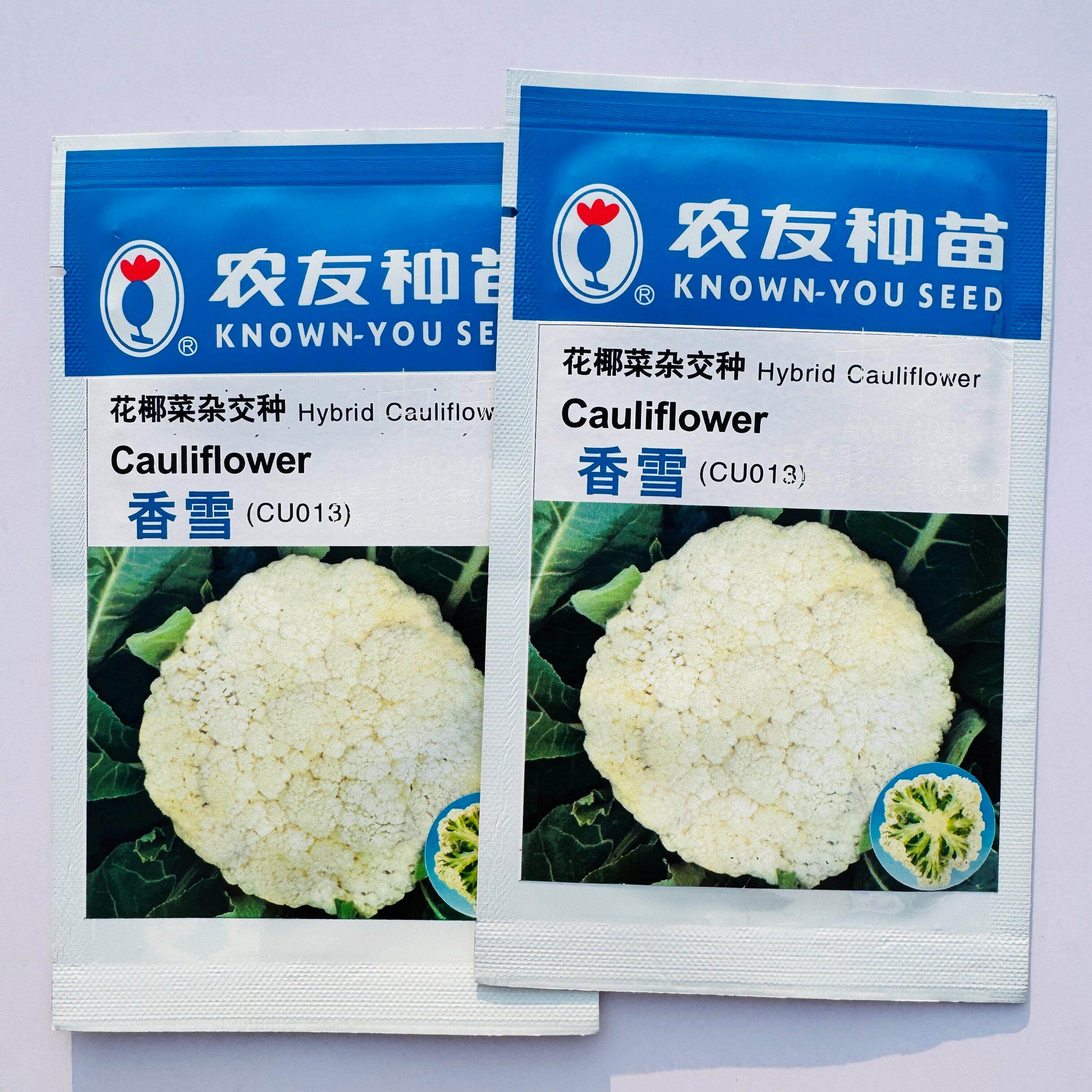 农友香雪松花型中熟杂交