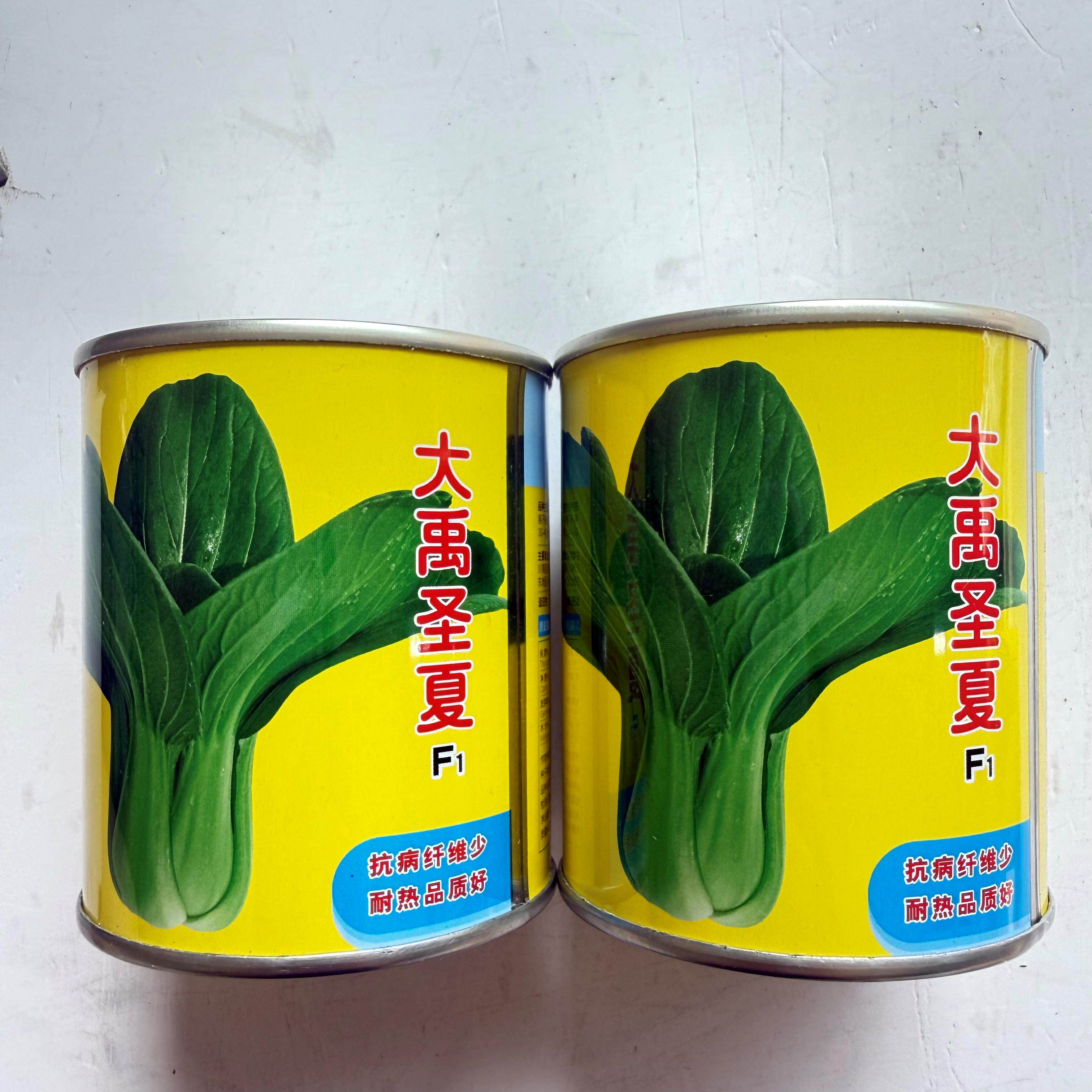 青梗菜种子大禹圣夏上海