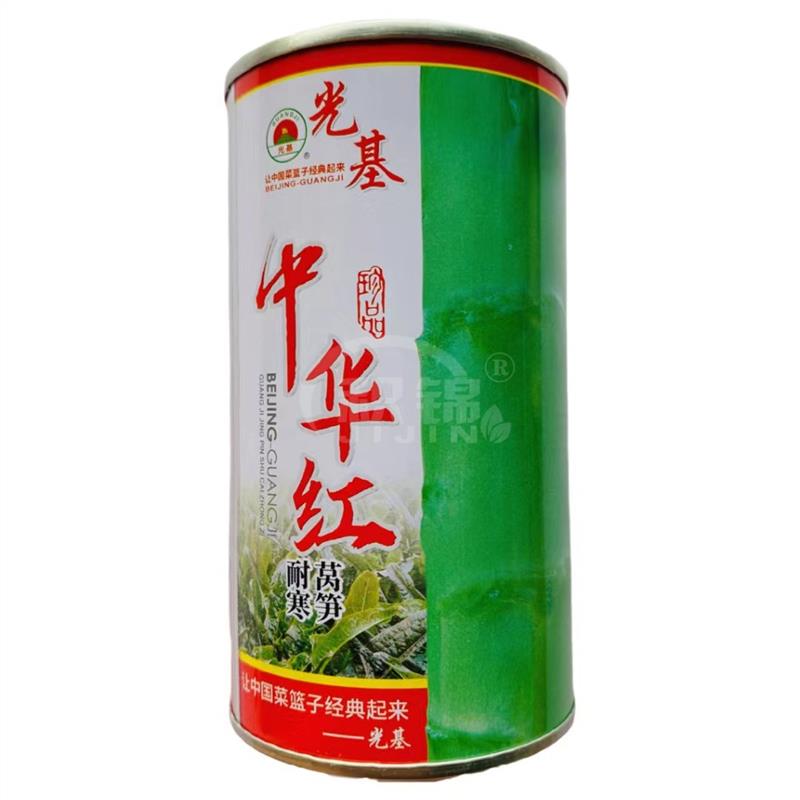 中华红耐寒莴笋种子红尖叶香莴苣种籽四季蔬菜种孑农家春秋精选种