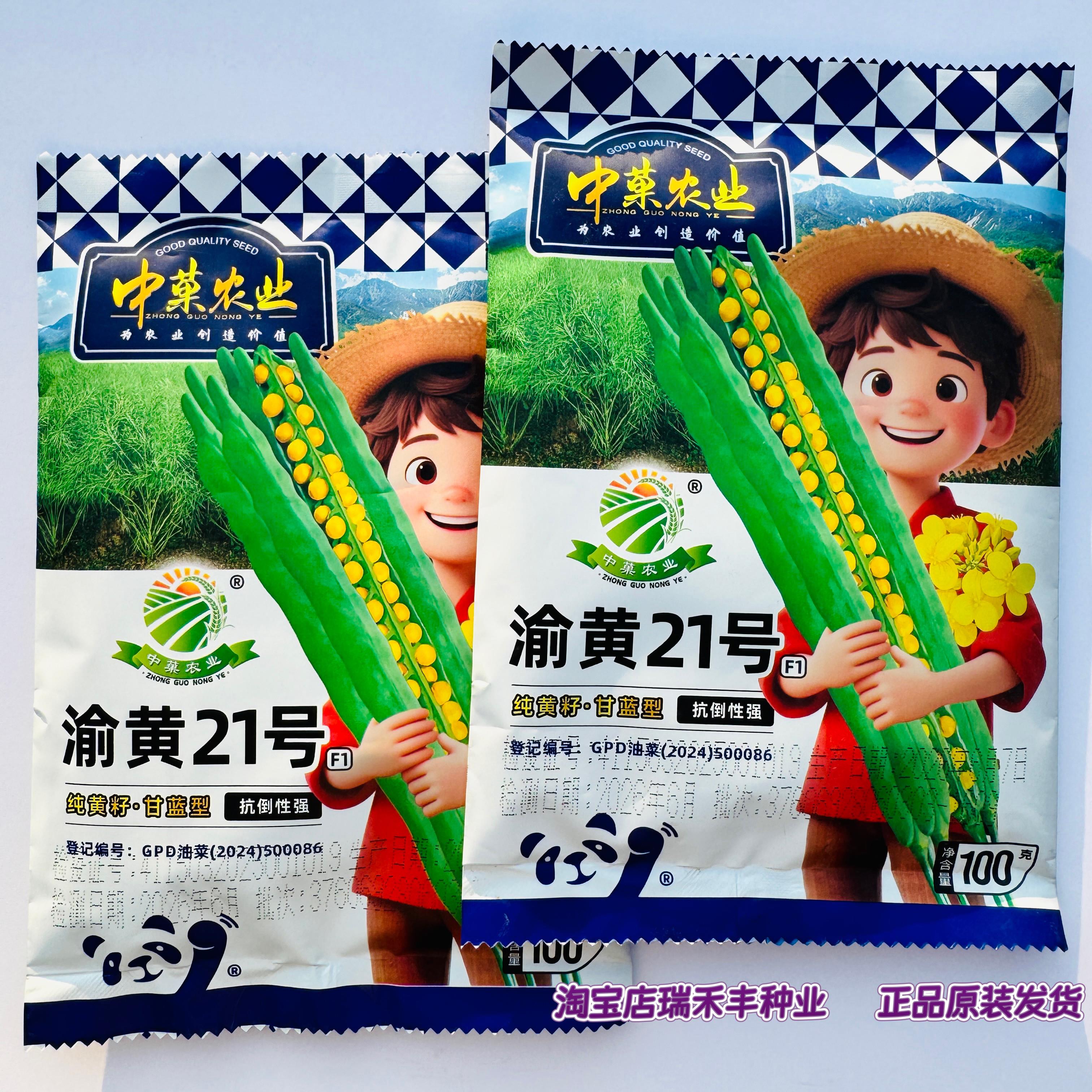 渝黄21黄油菜种子纯黄籽