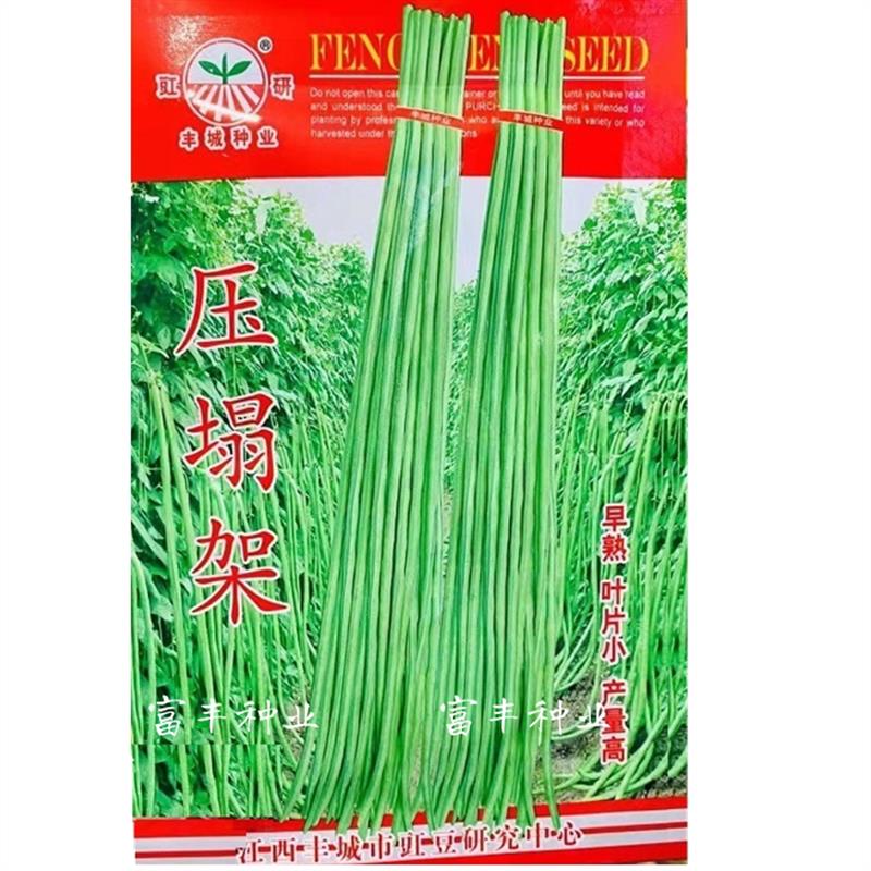 压塌架高产豇豆角种子青绿条特长架豆角种籽早熟春秋季蔬菜种子