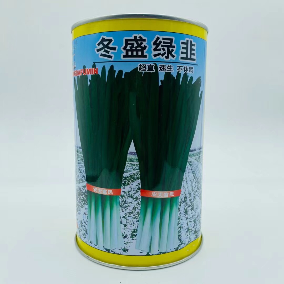 农大富民冬盛绿韭种子速生超直韭菜种籽特耐低温冬季不休眠春秋播